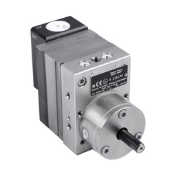 2K Gear Pump